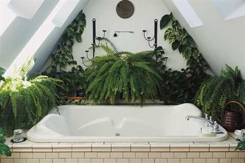 Choosing Plants For the Bathroom