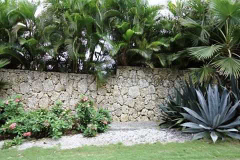 Coral Rock For Landscaping