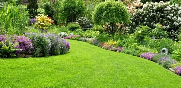 How To Landscape A Small Space