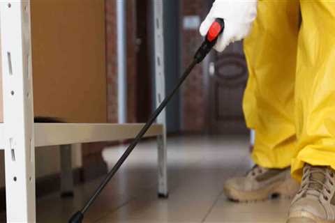 What Kind of Chemicals Does a Pest Control Service in Fort Mill SC Use?