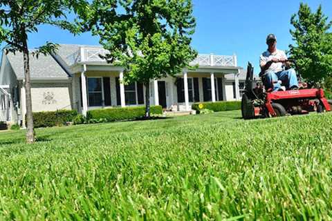 LAWN MOWING - LAWN WORX