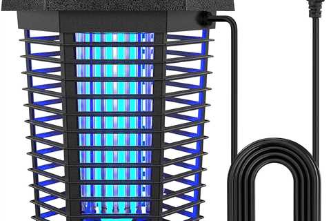 Bug Zapper Outdoor Review