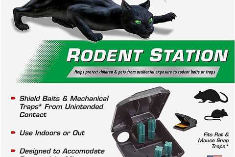 Tomcat Rat Traps: A Comprehensive Guide To Effective Rodent Extermination