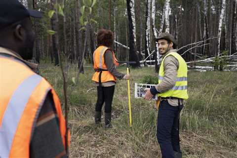 What is Risk Assessment Tree Service?