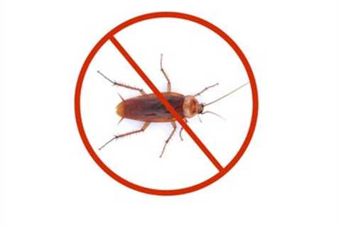 Cockroach Control Cleveland TN: Effective Strategies For Pest Management