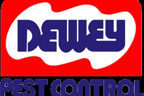 Termite Control Dewey Beach DE: Safeguarding Your Home From Termites