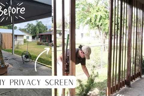 DIY home projects on a budget  || Outdoor projects || Carport privacy solution