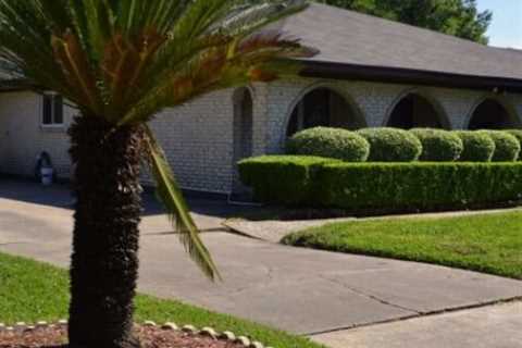 Creating a Lush Garden Oasis in New Orleans