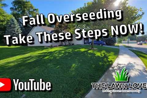 Overseeding Your Lawn This Fall? Do This NOW!