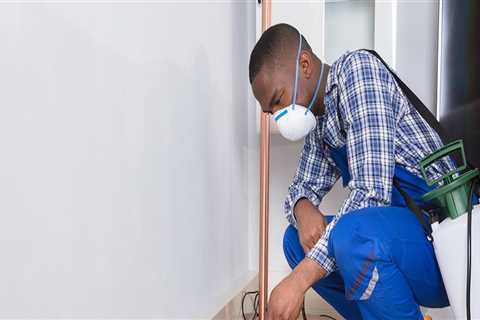 What Are the Costs of Professional Pest Control in Fort Mill, SC?