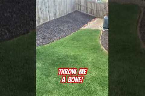 Enough is enough! 😩💦 #lawncare #youtube #shorts #weather