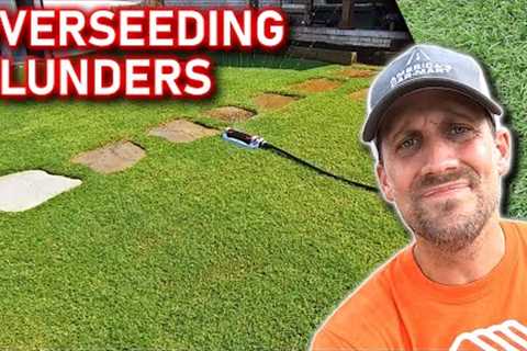 Fall Overseeding Lawns // What You Really Need to Know For it to Be a Huge Success