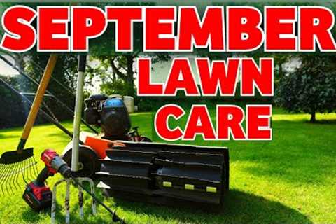 Renovate your lawn this autumn the RIGHT way // Beginner tips and tricks