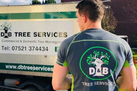 D& B Tree Services Gallery Of Various Tree Removal Pruning And Maintenance Jobs We Have Done 