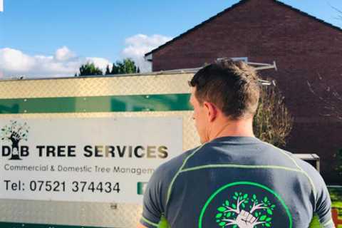 Tree Surgeon Penyrheol