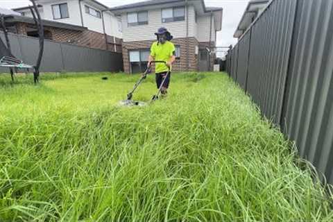 What would you FEAR most in this overgrown AUSTRALIAN yard?