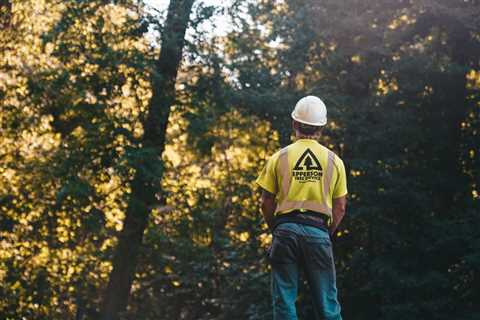 CHOOSING THE RIGHT TREE SERVICE COMPANY IN UTAH