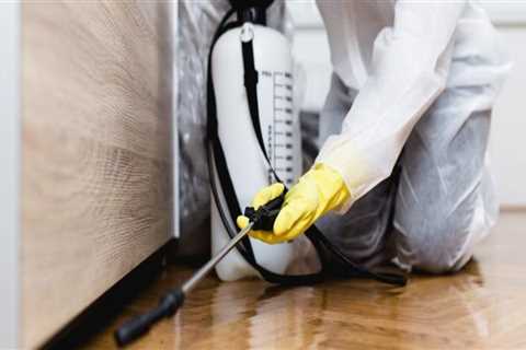 Protect Your Home And Health: Hire Local Exterminators For Rodent Removal In Forney, TX