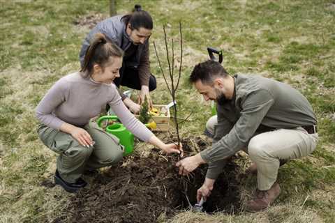 Common Mistakes to Avoid During Tree Planting