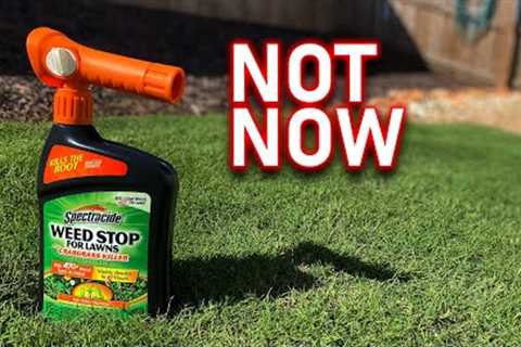 Fall is NOT the time to KILL WEEDS in your lawn! There''s a BETTER option.