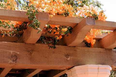 How To Prune Wisteria On Pergola