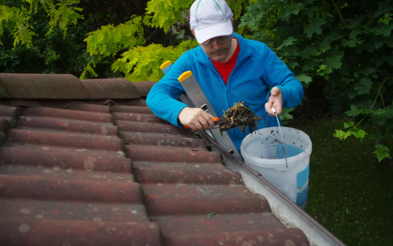 Gutter Cleaning Town 'n' Country, Florida