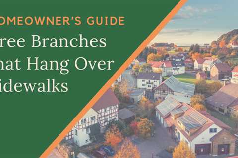 Homeowner?s Guide - Tree Branches that Hang Over Sidewalks