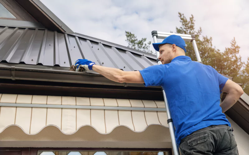 Gutter Cleaning Buckingham, Florida