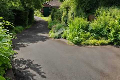 Why Do Weeds Come Through Tarmac?