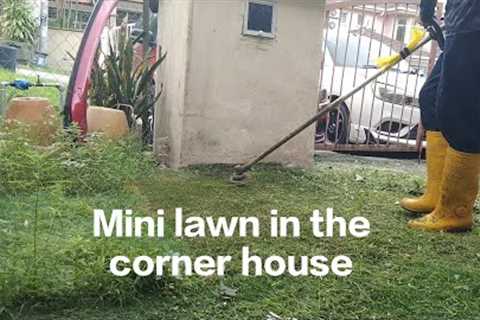 Mini lawn in the corner house ( @PGlawncare )