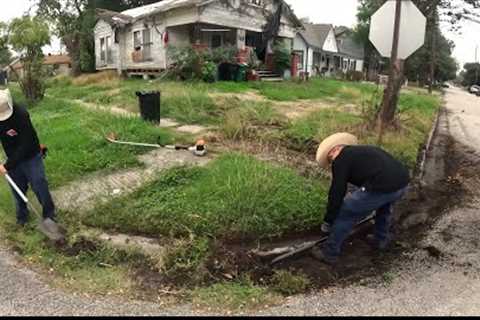 This DETERIORATED Home Was Being CONSUMED By NATURE [sidewalk reveal]