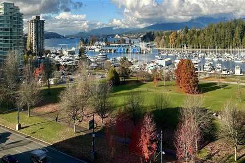 Transforming Vancouver's Cityscape: How Window Film Installation Can Benefit Landscape Architects