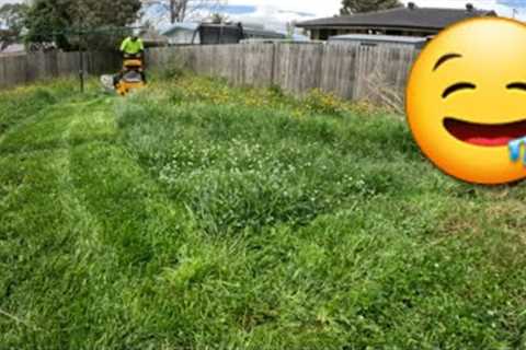 Perfect Mowing of Backyard Meadow