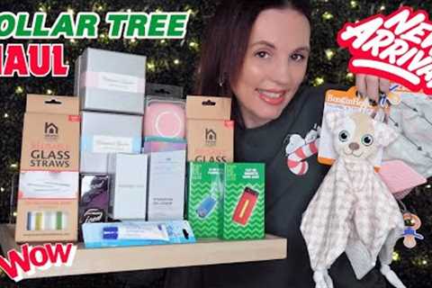 Dollar Tree Haul  Amazing Finds! New Name Brand Finds!