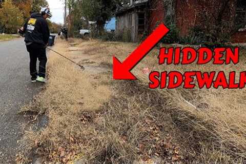 Stroke Survivor''s Sidewalk Was ENGULFED By OVERGROWN GRASS