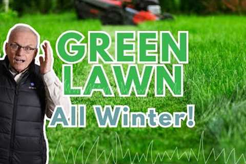 DO THIS NOW For A Green Winter Lawn | Fall Lawn Fertilizer (cool season grass)