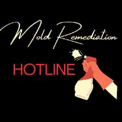 Mold Remediation Hotline Hollywood CA 13400 Saticoy St, North Hollywood, CA 91605 | Home Services