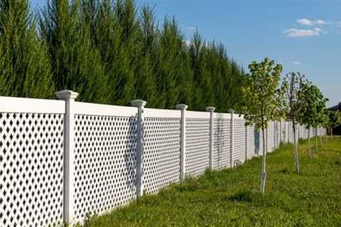 Should You Choose a Timber or PVC Fence for Your NZ Section? - Real Fencing