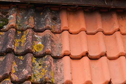 Roof Cleaning Coseley