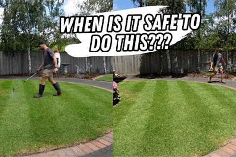 When to combine lawn care product applications explained