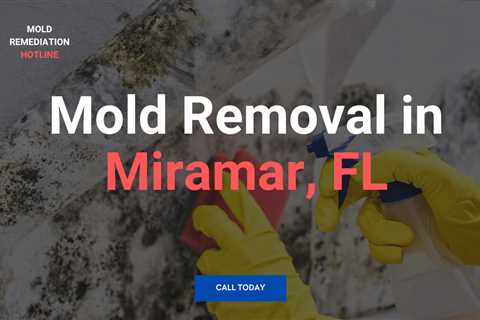 Mold Remediation Hotline Miramar FL -