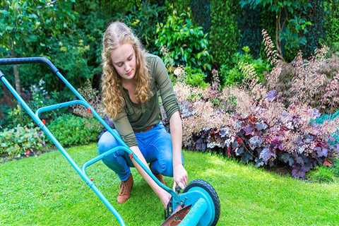 What is a lawn care specialist?