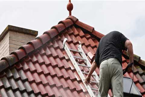 Roof Cleaning New Town