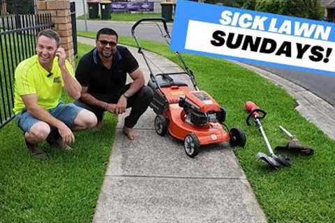 Giving Random People Money, JUST for having a SICK LAWN! It''s Sick Lawn Sundays Episode 1