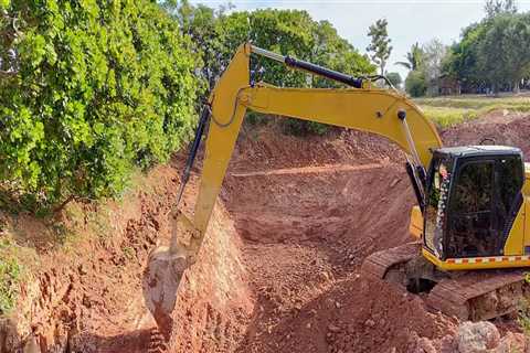 Digging Deeper: How Excavation Services Are Transforming The Ontario Arboriculture Industry