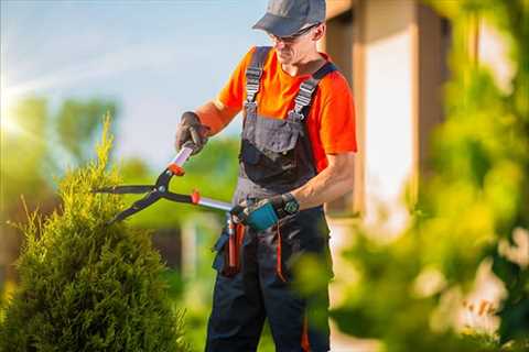 Landscape Maintenance in New Zealand: Your Ultimate Guide