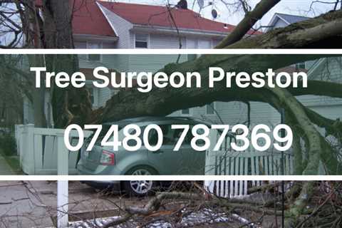 Tree Surgeon Darwen