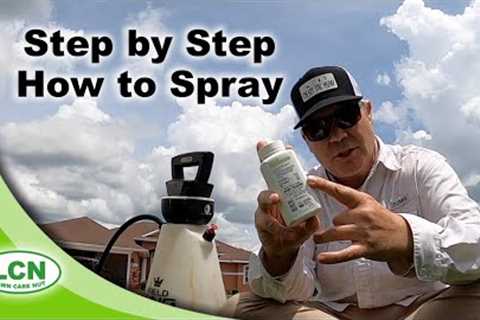 How To STOP Lawn Weeds Like A Pro | What When How To Apply Pre-Emergent Herbicide