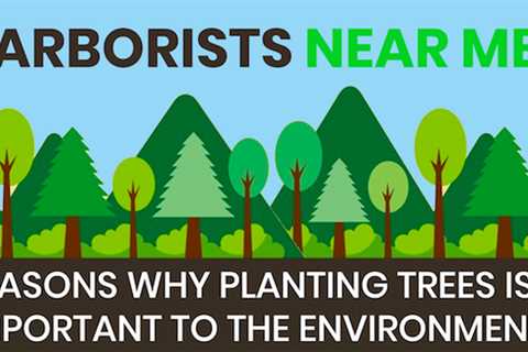 6 REASONS WHY PLANTING TREES IS SO IMPORTANT TO THE ENVIRONMENT?