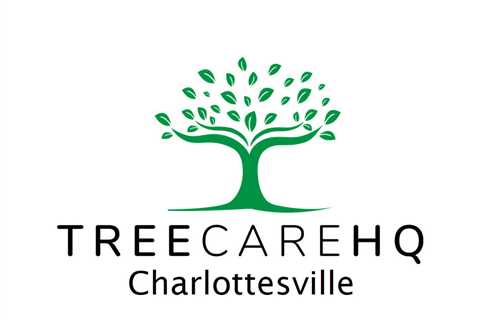 Charlottesville tree service pros